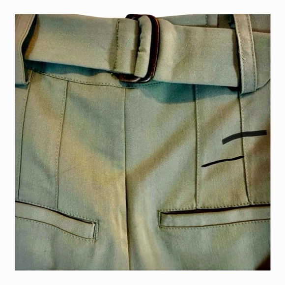 Free People Green Pleated Wide Leg Trousers, Rear Belt, Ankle Pleat, Size 2 - Picture 4 of 14